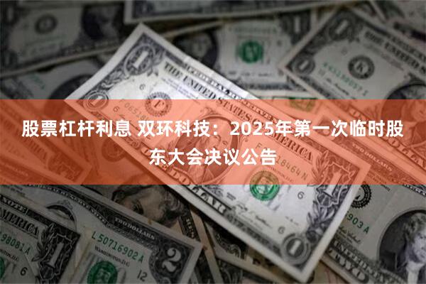 股票杠杆利息 双环科技：2025年第一次临时股东大会决议公告