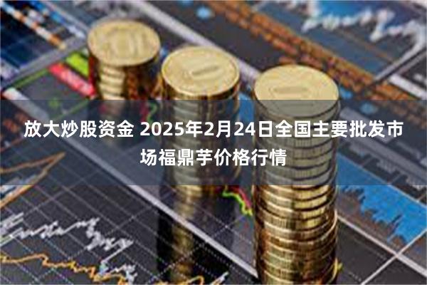 放大炒股资金 2025年2月24日全国主要批发市场福鼎芋价格行情